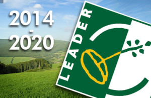 leader20142020