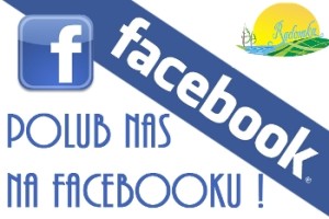facebook_rdr