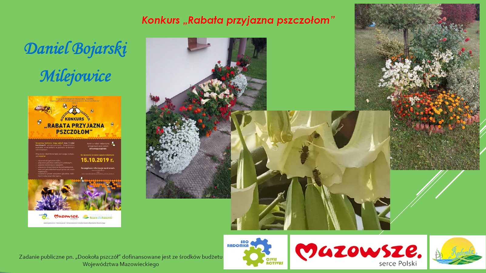 Przedstawiamy laureatów konkursu "Rabata przyjazna pszczołom"