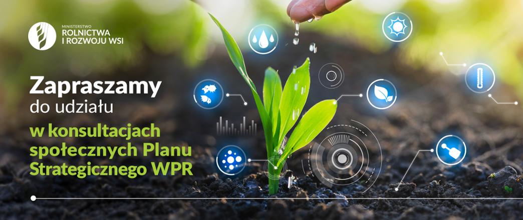 Ruszyły konsultacje projektu Planu Strategicznego dla Wspólnej Polityki Rolnej